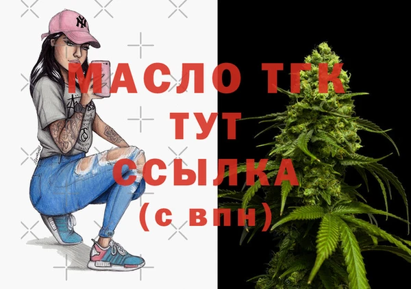 ECSTASY Бородино